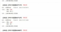 PDD已起诉多人侵犯名誉权 网友称自己发个帖子就被告了