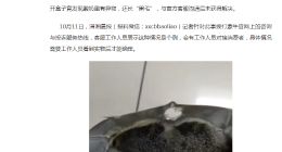 蒙牛酸奶里长黑毛？中国消费者何时能迎来百分百安全的乳制品？