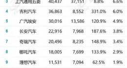 9月新能源销量排名出炉：国产抱团雄起、合资掉队