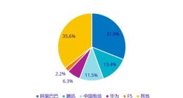 IDC：2022上半年中国IT安全软件市场同比增长13.1%