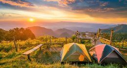 一顶帐篷创收六亿，骆驼有何秘籍？