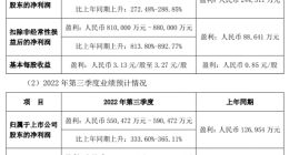 比亚迪今年最火的车是“过山车”