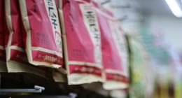 瓜子大王洽洽，困于“无效营销”