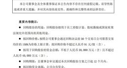赛力斯：拟以自有资金不超过4亿元回购公司股份
