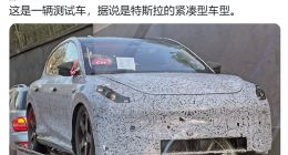 成本只有Model 3一半！疑似特斯拉全新轿车曝光