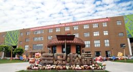 从三只松鼠转型成果，看消费市场高质量发展路径