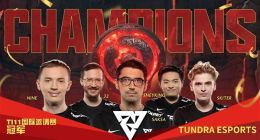《DOTA2》TI11国际赛落幕：Tundra 3:0夺得总冠军