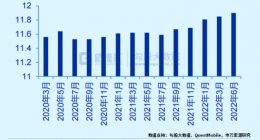 靠会员1天成交过亿，这82家品牌在天猫做了什么？