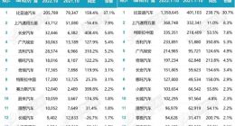 乘联会公布10月新能源车销量榜单 自主品牌获压倒性优势