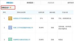 盘点疯狂小杨哥商业版图：控制10几家企业