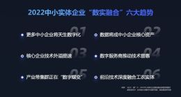 社科院团队发布中小企业数实融合报告 平台企业应承担更多责任