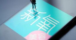 新氧Q3财报：付费医疗机构数同比增长28%