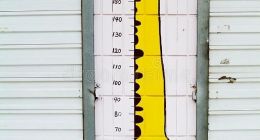 “造梦”儿童奶粉，圣元、蒙牛和宜品们想“长高”？