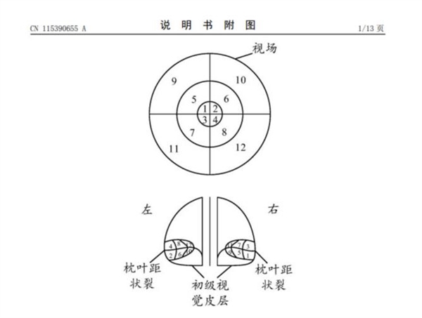 太先进！华为脑机接口专利公开：无需直视就能下发命令