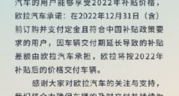 欧拉汽车推出限时保价政策 年底前支付定金可享补贴