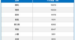11月新势力销量榜：哪吒领跑 小鹏被甩出几条街