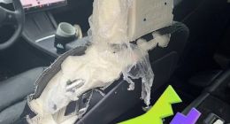 车主打开特斯拉“宠物模式” 将牧羊犬留在车内！回来一看崩溃