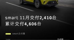 11月smart精灵#1交付2410辆 环比提升48%