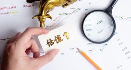 中国特色估值体系下，国产奶粉有望回归3.0的性价比时代？