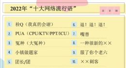 2022年十大网络流行语发布：栓Q、冤种等都上榜
