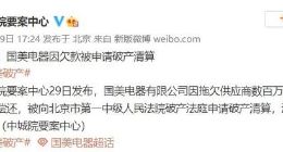 被申请破产的国美电器否认欠债，提交申请方回应