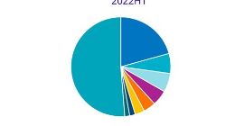 IDC：2022年上半年中国计算机视觉市场规模达9.76亿美元