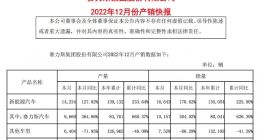 赛力斯汽车12月销量达10157辆 同比增长304.02%