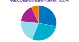 IDC：2022上半年中国AI公有云服务市场百度智能云居第一