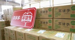 从拼多多年货节里，我看到了农村、农业未来的另一种可能