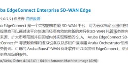 Aruba SD-WAN及云安全产品正式上线AWS Marketplace中国区