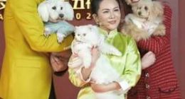 直追顶流李佳琦 云宠宝五福直播吸引超5000万观众