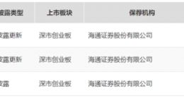 年入246亿，全球第二大手机代工厂“又双叒”来IPO了！