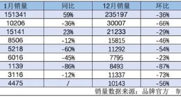 新能源车企1月销量集体下滑：比亚迪市占率恐怖，理想有望站稳新势力头名
