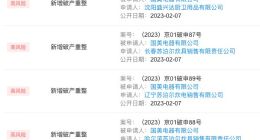国美电器被申请破产重整