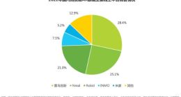国内消费级AR眼镜市场报告出炉：雷鸟创新位居首位