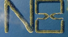 腾势新车正式定名N8：定位5/6/7座中大型SUV，年内上市