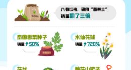 这届年轻人在阳台“春耕”，天猫超市农资商品销量翻番