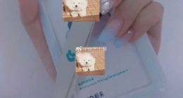 蔚来实习生事件调查报告曝光：因无编制未留用