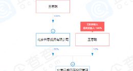 王思聪新公司成立：疑进军外卖与人工智能领域