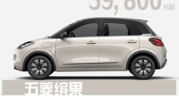 五菱新车缤果斩获海外订单
