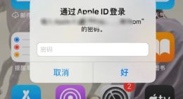 苹果设备不断要求输入Apple ID密码！客服回应：可尝试修改密码
