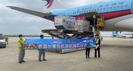 每周两班！盒马、东航开通东南亚水果包机专线 泰国官员来送机