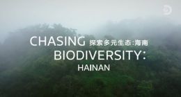 MediaTek携手Discovery探索多元生态，天玑影像记录自然之美