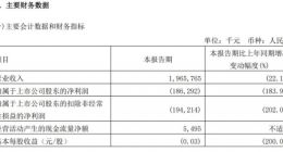 360今年第一季度实现营收19.66亿元 同比减少22.17%