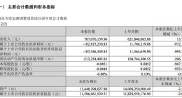 四维图新：2023年Q1净亏损1.03亿元 同比由盈转亏