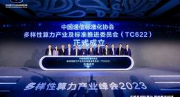 多样性算力推委会成立，为行业提供多样的算力基础设施选择