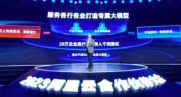 阿里张勇：已有20万企业用户申请接入通义千问