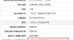 “大规模裁员”的王健林，会是下一个许家印吗？