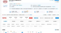 比亚迪F品牌疑似中文名称“方程豹” 6月正式发布