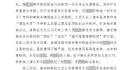 特斯拉车顶维权女车主被判败诉